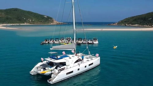 上海有大事發生......