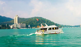 8人以下精品小團 臺灣 臺北到臺中日月潭拼車一日游 苗栗泰安溫泉泡湯 日月潭游船 商務小車上門接送