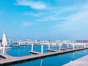 海歌帶你游東港