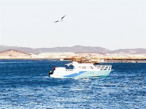 我國首艘燃料電池游艇 蠡湖 號通過試航