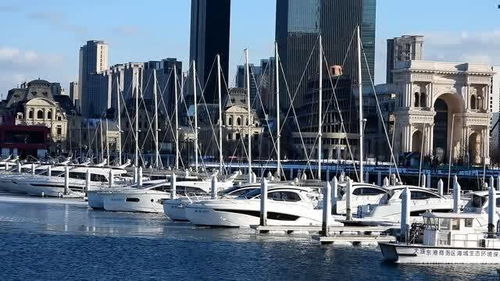 大連東港游艇碼頭 濱海都市的奢華新地標