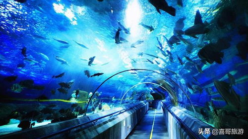 大連自駕游玩全攻略 十大景區(qū)與行程安排，游艇體驗(yàn)推薦