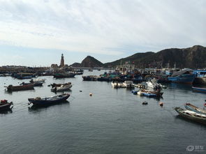 大連一日游 盡享游艇風(fēng)情之旅