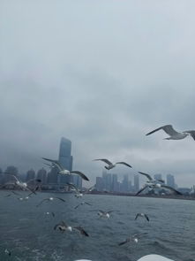 大連一日游 棒槌島、星海廣場(chǎng)與天祥游船的完美體驗(yàn)