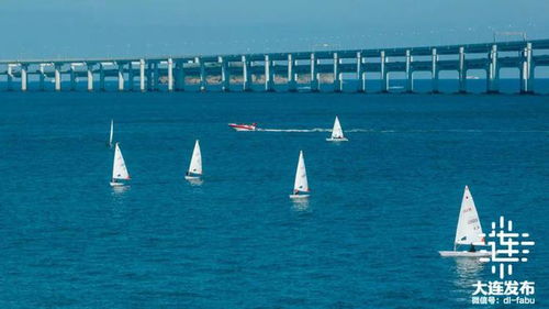 三季度，大連跑出“加速度” 游艇產(chǎn)業(yè)揚(yáng)帆起航